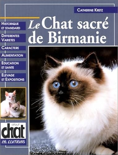 Chat sacre birmanie - sacre,