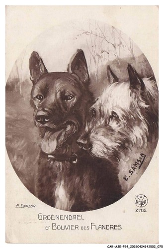 Car ajep24 0966 animaux - car-ajep24-0966-animaux,
