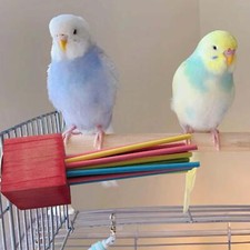 Jouet à mâcher pour oiseaux