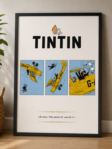 Magnifique cadre tintin 30 - magnifique,