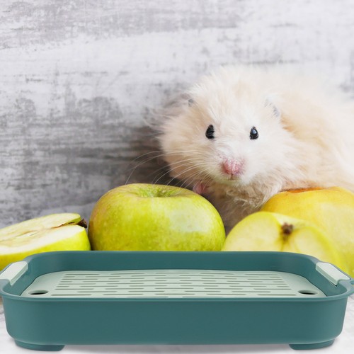 Large rabbit toilet cage - rabbit,