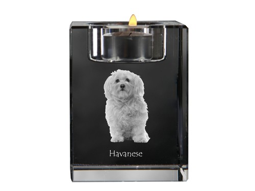 Bichon havanais bougeoir - , en
