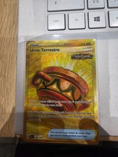 Urne Terrestre 096/064 - Carte