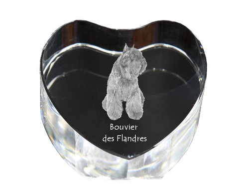 Bouvier des flandres cœur - bouvier,