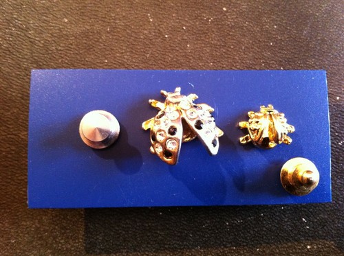 Lot pin coccinelles - lot, pin's