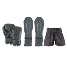 Gants De Boxe Muay Thai PMA