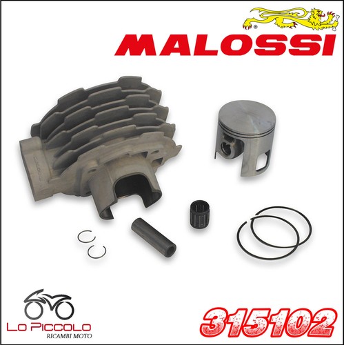 315102 malossi groupe - 315102,