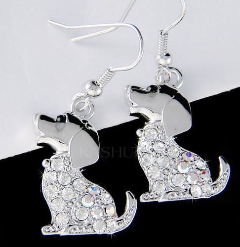 Beagle chien avec cristal - chien,