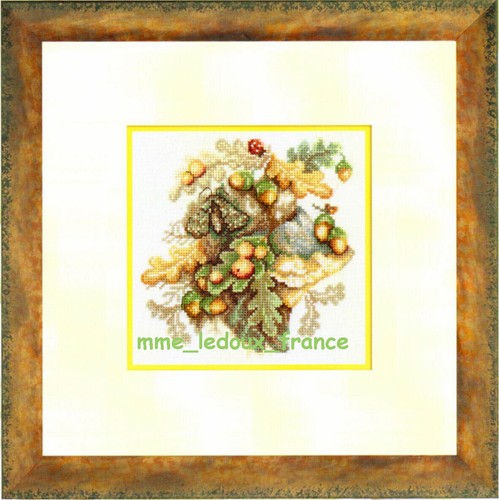 Forest acorn mvs kit - mvs, pt