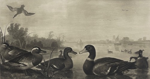 Albert cuyp - cuyp, (1620-1691)