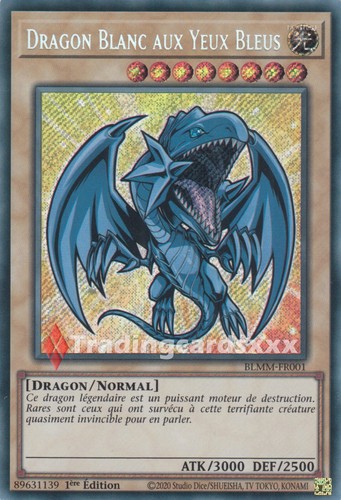 Dragon blanc aux - yu-gi-oh!,