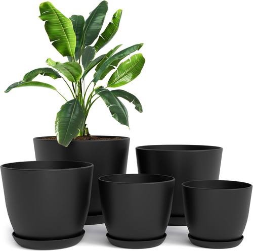 Lot pots fleurs noir - pots,