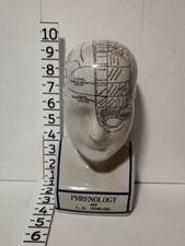 Fowler Phrenology Head Bust