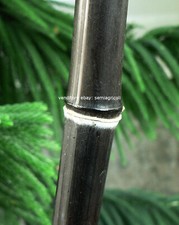 SEMI BAMBOU NOIR - BAMBOU