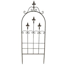 Treillage jardin fer Lys