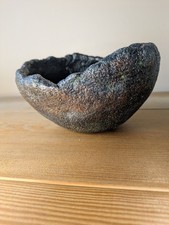 pot caudex bonsaï succulente