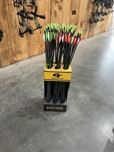 Gold tip hunter 500 - gold,