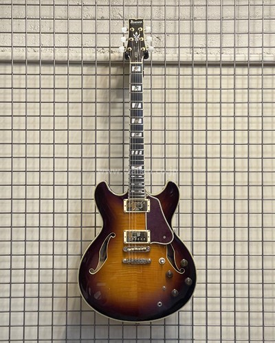 Ibanez as200 - ibanez,