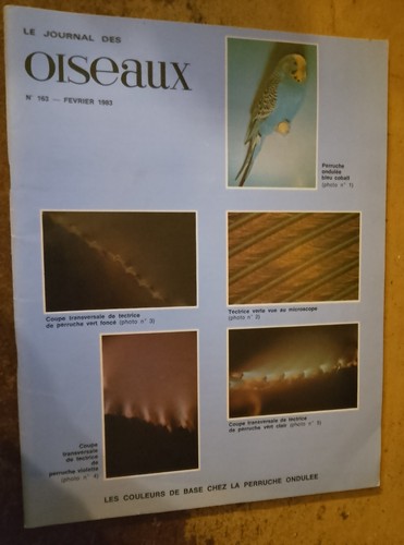 Journal des oiseaux - journal,