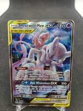 Mewtwo et Mew Gx SM191 Carte