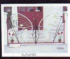 1981 -- SURGERES BUTTERFLY PORTAL T288