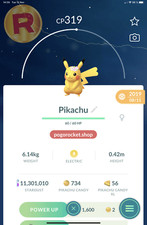 Pikachu Flowers Costume Non-Shiny Go Reg or 1M