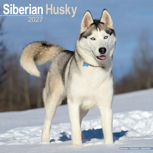 Calendrier 2027 siberien - -,