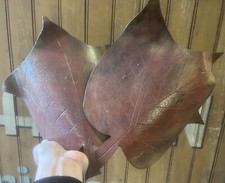 Large Outdoor Indoor Wrought Iron Lamp Leaf Vintage Nature Sconce