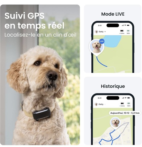Traceur gps chien - traceur,