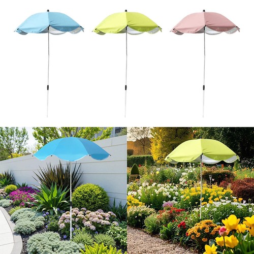 Parapluie plante - parapluie, la