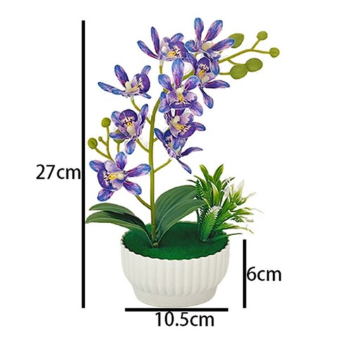 Plante orchidée - plante, d'orchidée