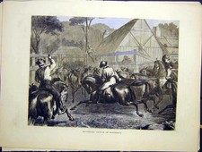 Original Old Antique Print Mustering Cattle Australia Horses 1870 19th