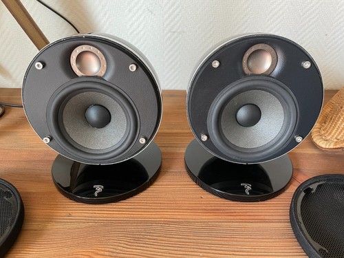 Focal dôme polyglass - focal,