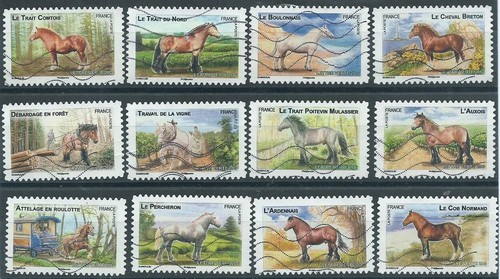 Carnet 2013 chevaux de trait - chevaux,