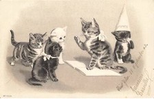 CHATS #MK43642 CHAT ET CHATONS