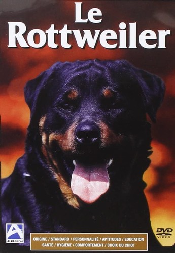 Rottweiler dvd neuf - rottweiler,