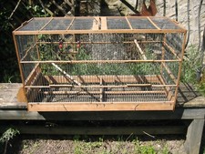 Grande Cage à oiseaux