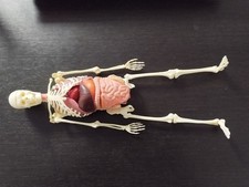 Jeu articulable réaliste Anatomie 2000 ancien vintage (squelette, organes)