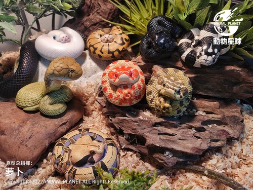 Animal planet series - series, of