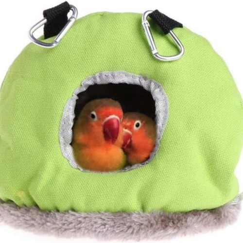 Voarge nid oiseau - d'oiseau, suspendu