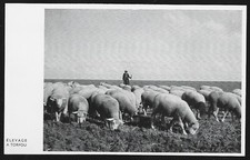 1966 -- PEAT BREEDING . ESSONNE . 3U770