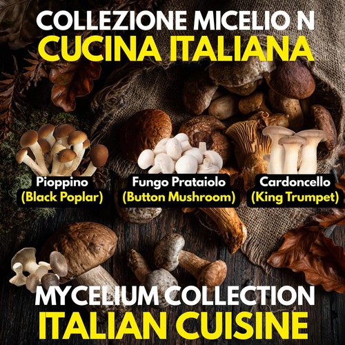 Cuisine italienne 3 cultures - -,