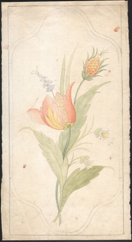 1910 dessin original aquarelle - dessin,
