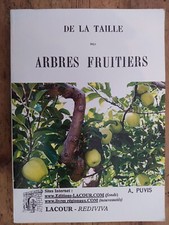 De la taille des arbres