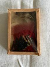 Plumes anciennes pour