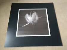 Grand cadre photo danseuse noir et blanc en verre noir carré 50cm Ikea