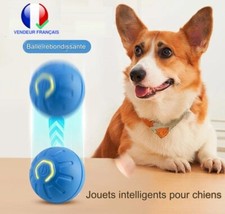 Balle Jouet Interactive Pour Chat Et Chien Automatique USB Boule Magique Roulant