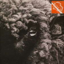 MOUNTAIN BIKE TOO SORRY FOR ANY SORROW TEENAGE RECORDS VINYLE NEUF NEW VINYL LP