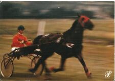 CPSM Animated Trotter Harnessed