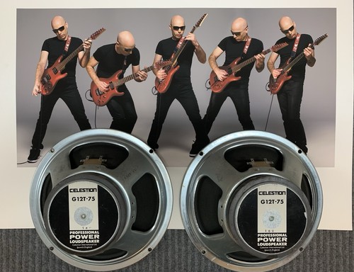 Vintage celestion uk - 90’s,
